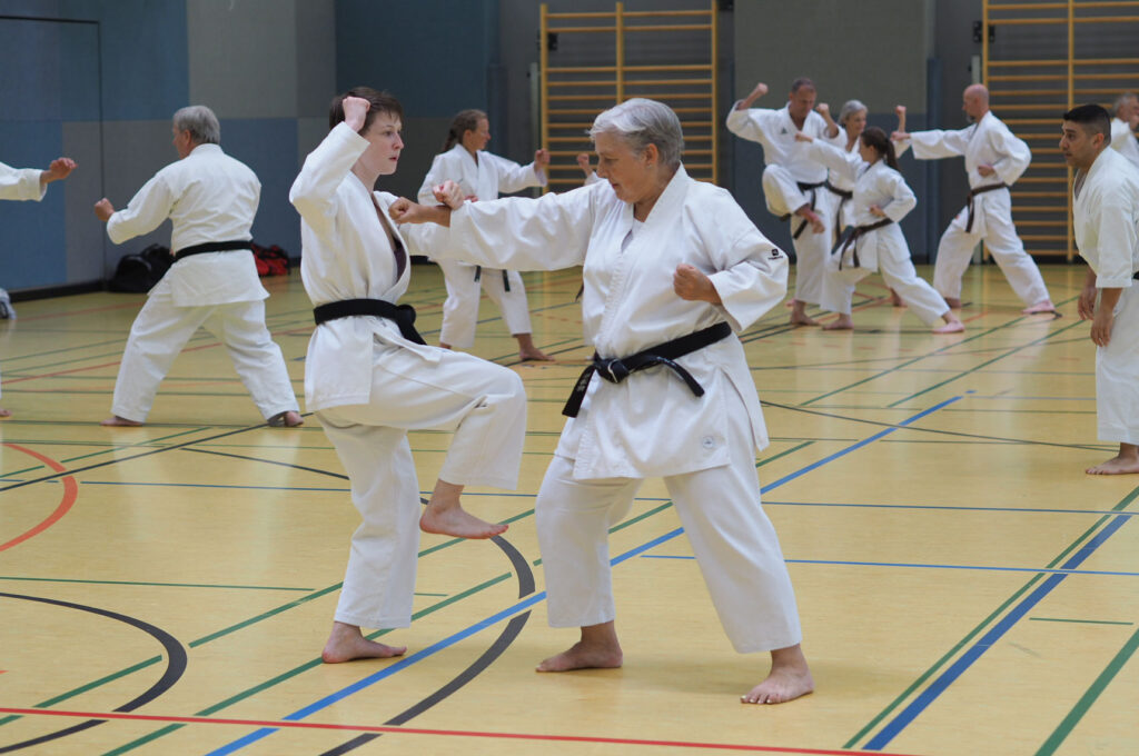 Karate Dojo Mainz-Bretzenheim - Lehrgang mit Mohammed Abu Wahib