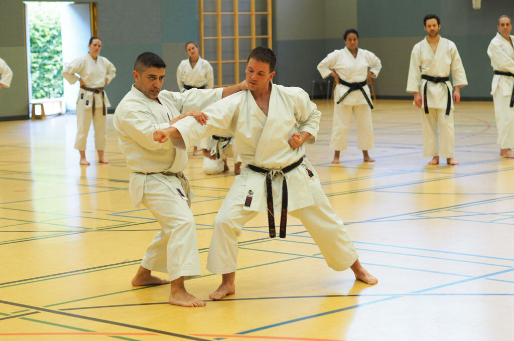 Karate Dojo Mainz-Bretzenheim - Lehrgang mit Mohammed Abu Wahib