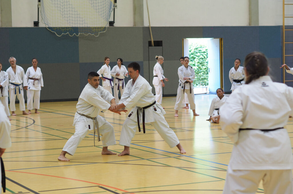 Karate Dojo Mainz-Bretzenheim - Lehrgang mit Mohammed Abu Wahib