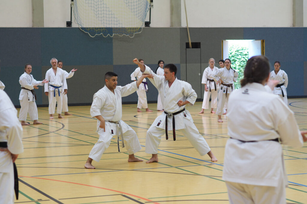 Karate Dojo Mainz-Bretzenheim - Lehrgang mit Mohammed Abu Wahib