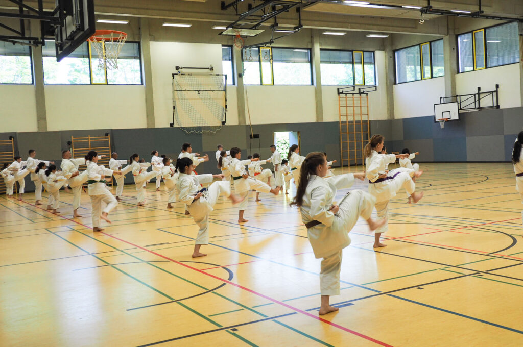 Karate Dojo Mainz-Bretzenheim - Lehrgang mit Mohammed Abu Wahib